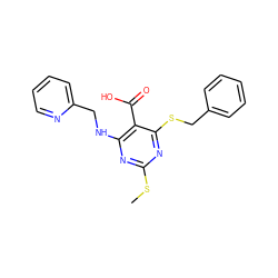 CSc1nc(NCc2ccccn2)c(C(=O)O)c(SCc2ccccc2)n1 ZINC000053313467