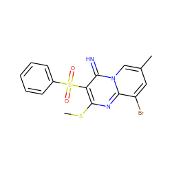 CSc1nc2c(Br)cc(C)cn2c(=N)c1S(=O)(=O)c1ccccc1 ZINC000013528555