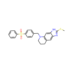 CSc1nc2cc3c(cc2[nH]1)N(Cc1ccc(S(=O)(=O)c2ccccc2)cc1)CCC3 ZINC000013451091