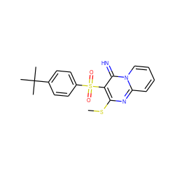 CSc1nc2ccccn2c(=N)c1S(=O)(=O)c1ccc(C(C)(C)C)cc1 ZINC000038896648