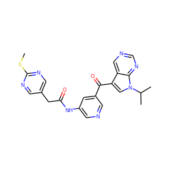 CSc1ncc(CC(=O)Nc2cncc(C(=O)c3cn(C(C)C)c4ncncc34)c2)cn1 ZINC000169707715