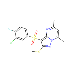 CSc1nn2c(C)cc(C)nc2c1S(=O)(=O)c1ccc(F)c(Cl)c1 ZINC000066079884