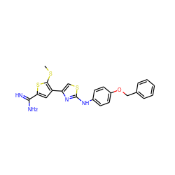 CSc1sc(C(=N)N)cc1-c1csc(Nc2ccc(OCc3ccccc3)cc2)n1 ZINC000028007649