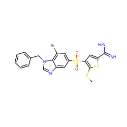 CSc1sc(C(=N)N)cc1S(=O)(=O)c1cc(Br)c2c(c1)ncn2Cc1ccccc1 ZINC000036330286