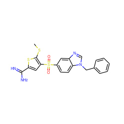 CSc1sc(C(=N)N)cc1S(=O)(=O)c1ccc2c(c1)ncn2Cc1ccccc1 ZINC000036330288