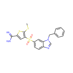 CSc1sc(C(=N)N)cc1S(=O)(=O)c1ccc2ncn(Cc3ccccc3)c2c1 ZINC000036330282