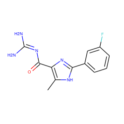 Cc1[nH]c(-c2cccc(F)c2)nc1C(=O)N=C(N)N ZINC000040829063