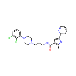 Cc1[nH]c(-c2ccccn2)cc1C(=O)NCCCN1CCN(c2cccc(Cl)c2Cl)CC1 ZINC000058540767