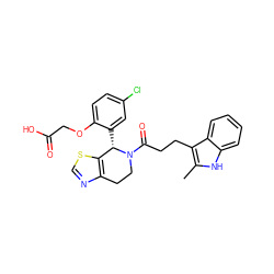 Cc1[nH]c2ccccc2c1CCC(=O)N1CCc2ncsc2[C@@H]1c1cc(Cl)ccc1OCC(=O)O ZINC000206904989