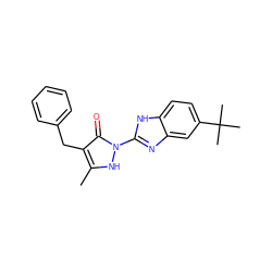 Cc1[nH]n(-c2nc3cc(C(C)(C)C)ccc3[nH]2)c(=O)c1Cc1ccccc1 ZINC000169330067