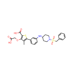 Cc1c(-c2cccc(NC3CCN(S(=O)(=O)Cc4ccccc4)CC3)c2)sc(C(=O)O)c1OCC(=O)O ZINC000028711545