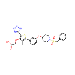 Cc1c(-c2cccc(OC3CCN(S(=O)(=O)Cc4ccccc4)CC3)c2)sc(-c2nnn[nH]2)c1OCC(=O)O ZINC000028887038