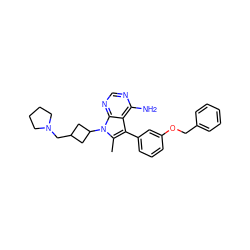 Cc1c(-c2cccc(OCc3ccccc3)c2)c2c(N)ncnc2n1C1CC(CN2CCCC2)C1 ZINC000063298450