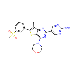 Cc1c(-c2cccc(S(C)(=O)=O)c2)sc2c(N3CCOCC3)nc(-c3cnc(N)nc3)nc12 ZINC000049124756