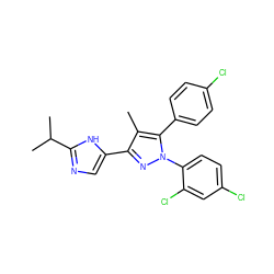 Cc1c(-c2cnc(C(C)C)[nH]2)nn(-c2ccc(Cl)cc2Cl)c1-c1ccc(Cl)cc1 ZINC000045253030