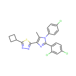 Cc1c(-c2nnc(C3CCC3)s2)nc(-c2ccc(Cl)cc2Cl)n1-c1ccc(Cl)cc1 ZINC000040934294