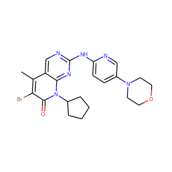 Cc1c(Br)c(=O)n(C2CCCC2)c2nc(Nc3ccc(N4CCOCC4)cn3)ncc12 ZINC000013641670