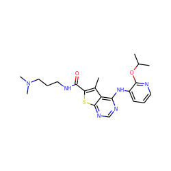 Cc1c(C(=O)NCCCN(C)C)sc2ncnc(Nc3cccnc3OC(C)C)c12 ZINC000118824551