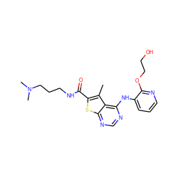 Cc1c(C(=O)NCCCN(C)C)sc2ncnc(Nc3cccnc3OCCO)c12 ZINC000118830190