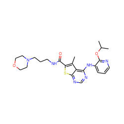 Cc1c(C(=O)NCCCN2CCOCC2)sc2ncnc(Nc3cccnc3OC(C)C)c12 ZINC000169708376