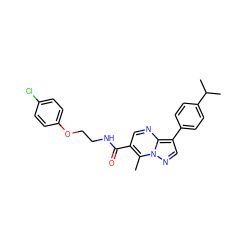 Cc1c(C(=O)NCCOc2ccc(Cl)cc2)cnc2c(-c3ccc(C(C)C)cc3)cnn12 ZINC000040422420