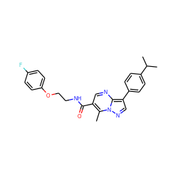 Cc1c(C(=O)NCCOc2ccc(F)cc2)cnc2c(-c3ccc(C(C)C)cc3)cnn12 ZINC000040949834