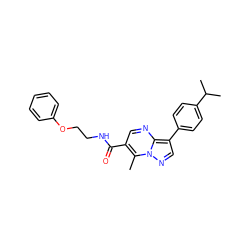 Cc1c(C(=O)NCCOc2ccccc2)cnc2c(-c3ccc(C(C)C)cc3)cnn12 ZINC000023441331