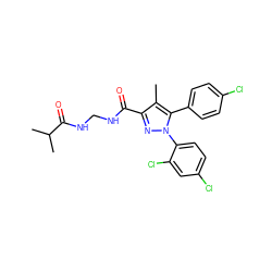 Cc1c(C(=O)NCNC(=O)C(C)C)nn(-c2ccc(Cl)cc2Cl)c1-c1ccc(Cl)cc1 ZINC000040937432