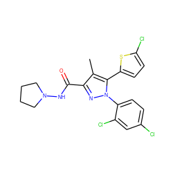 Cc1c(C(=O)NN2CCCC2)nn(-c2ccc(Cl)cc2Cl)c1-c1ccc(Cl)s1 ZINC000040379227