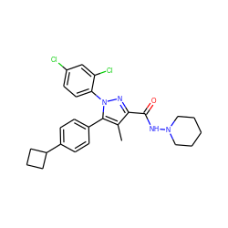 Cc1c(C(=O)NN2CCCCC2)nn(-c2ccc(Cl)cc2Cl)c1-c1ccc(C2CCC2)cc1 ZINC000043020616