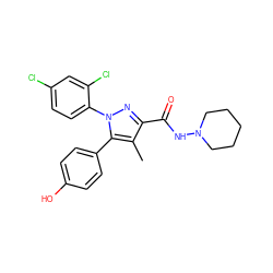 Cc1c(C(=O)NN2CCCCC2)nn(-c2ccc(Cl)cc2Cl)c1-c1ccc(O)cc1 ZINC000013493226