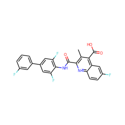 Cc1c(C(=O)Nc2c(F)cc(-c3cccc(F)c3)cc2F)nc2ccc(F)cc2c1C(=O)O ZINC000169350340