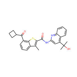 Cc1c(C(=O)Nc2cc(C(C)(C)O)c3ccccc3n2)sc2c(C(=O)C3CCC3)cccc12 ZINC001772577351