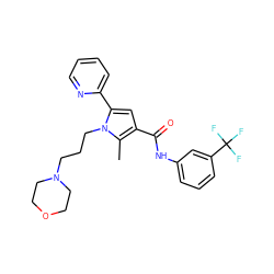 Cc1c(C(=O)Nc2cccc(C(F)(F)F)c2)cc(-c2ccccn2)n1CCCN1CCOCC1 ZINC000220768649