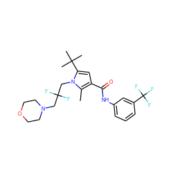 Cc1c(C(=O)Nc2cccc(C(F)(F)F)c2)cc(C(C)(C)C)n1CC(F)(F)CN1CCOCC1 ZINC000220829876