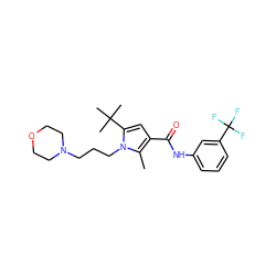 Cc1c(C(=O)Nc2cccc(C(F)(F)F)c2)cc(C(C)(C)C)n1CCCN1CCOCC1 ZINC000205356205