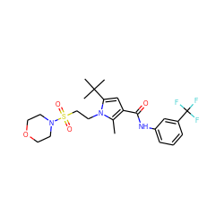 Cc1c(C(=O)Nc2cccc(C(F)(F)F)c2)cc(C(C)(C)C)n1CCS(=O)(=O)N1CCOCC1 ZINC000205360143