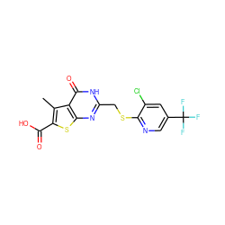 Cc1c(C(=O)O)sc2nc(CSc3ncc(C(F)(F)F)cc3Cl)[nH]c(=O)c12 ZINC000003325183