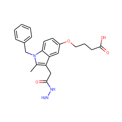 Cc1c(CC(=O)NN)c2cc(OCCCC(=O)O)ccc2n1Cc1ccccc1 ZINC000013446193