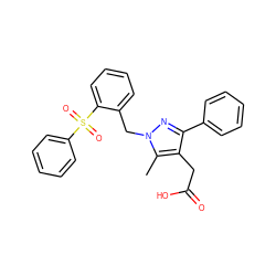 Cc1c(CC(=O)O)c(-c2ccccc2)nn1Cc1ccccc1S(=O)(=O)c1ccccc1 ZINC000096270512