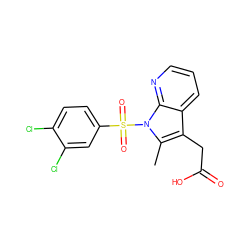 Cc1c(CC(=O)O)c2cccnc2n1S(=O)(=O)c1ccc(Cl)c(Cl)c1 ZINC000038225289