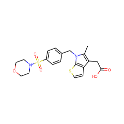 Cc1c(CC(=O)O)c2ccsc2n1Cc1ccc(S(=O)(=O)N2CCOCC2)cc1 ZINC000066097601