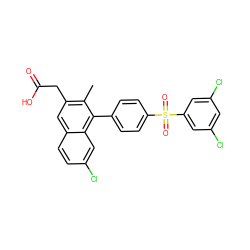 Cc1c(CC(=O)O)cc2ccc(Cl)cc2c1-c1ccc(S(=O)(=O)c2cc(Cl)cc(Cl)c2)cc1 ZINC000205722505