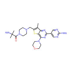 Cc1c(CN2CCN(C(=O)C(C)(C)N)CC2)sc2c(N3CCOCC3)nc(-c3cnc(N)nc3)nc12 ZINC000073166746