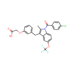 Cc1c(Cc2cccc(OCC(=O)O)c2)c2cc(OC(F)(F)F)ccc2n1C(=O)c1ccc(Cl)cc1 ZINC000043019982