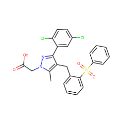 Cc1c(Cc2ccccc2S(=O)(=O)c2ccccc2)c(-c2cc(Cl)ccc2Cl)nn1CC(=O)O ZINC000103237922