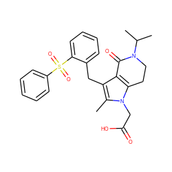 Cc1c(Cc2ccccc2S(=O)(=O)c2ccccc2)c2c(n1CC(=O)O)CCN(C(C)C)C2=O ZINC000205465307