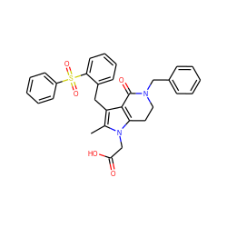 Cc1c(Cc2ccccc2S(=O)(=O)c2ccccc2)c2c(n1CC(=O)O)CCN(Cc1ccccc1)C2=O ZINC000205460934