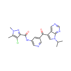 Cc1c(Cl)c(C(=O)Nc2cncc(C(=O)c3cn(C(C)C)c4ncncc34)c2)nn1C ZINC000169707966