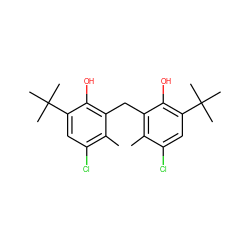 Cc1c(Cl)cc(C(C)(C)C)c(O)c1Cc1c(C)c(Cl)cc(C(C)(C)C)c1O ZINC000001687248